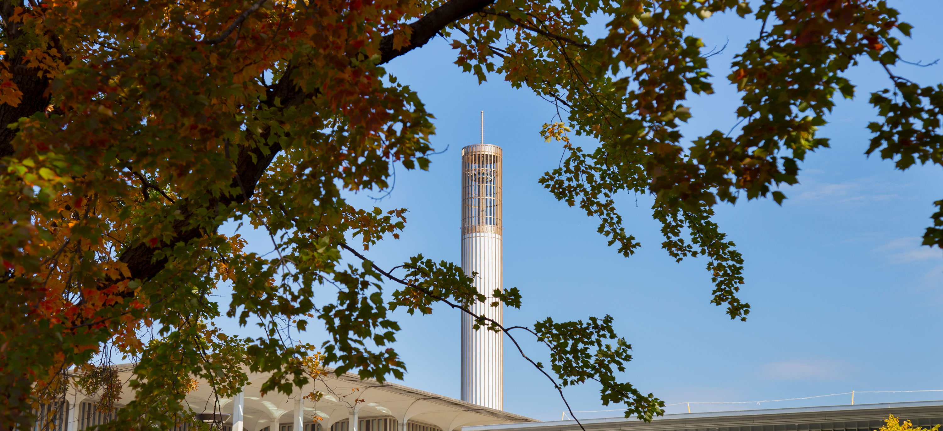 The UAlbany carillon, as seen through fall foliage on the Uptown Campus.