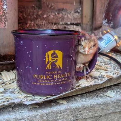 A small brown chick cozies up to a purple mug that has a gold Minerva logo and reads "School of Public Health".