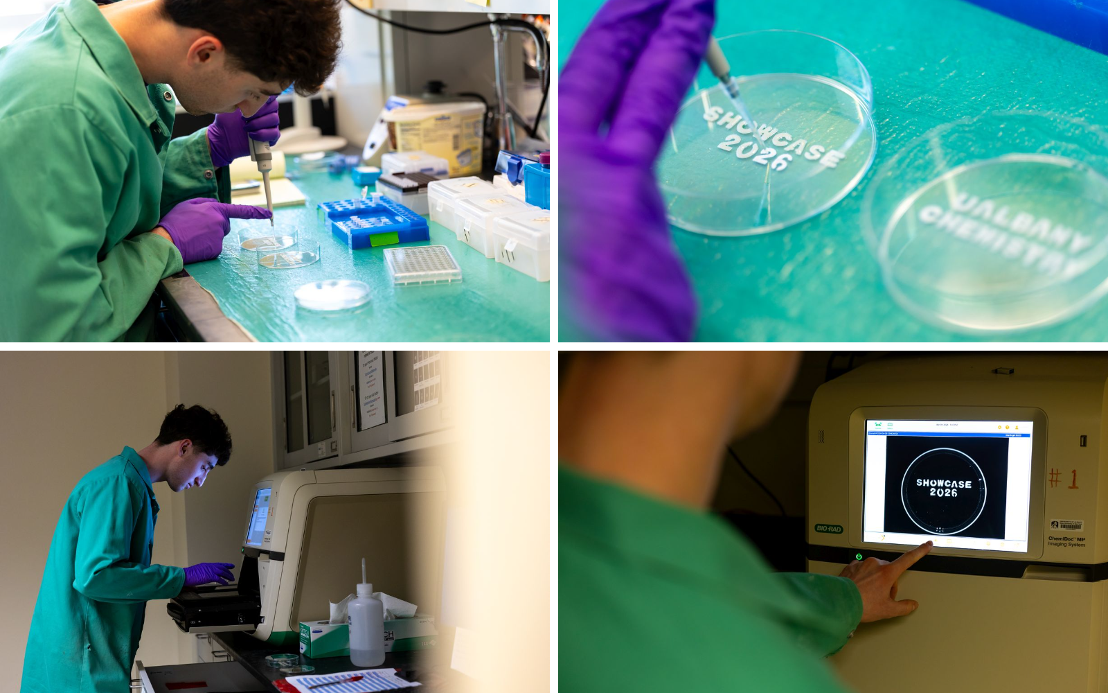 Composite image containing 4 photographs, each depicting a step in a demonstration of Emmett’s fluorescent nanoparticle technology. The first shows him using a pipette to dispense a clear liquid into clear plastic petri dishes. The second is a close-up of the 2 petri dishes which contain paper letters spelling out “UAlbany Chemistry” and “Showcase 2026”. The third is a picture of Emmett placing a petri dish inside an imaging device. The 4th shows “Showcase 2026” glowing on the digital readout panel on the f