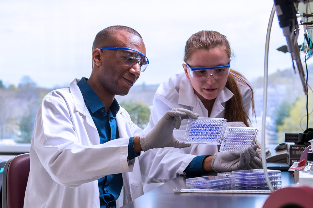 Two students conducting research at UAlbany's Cancer Research Center lab.