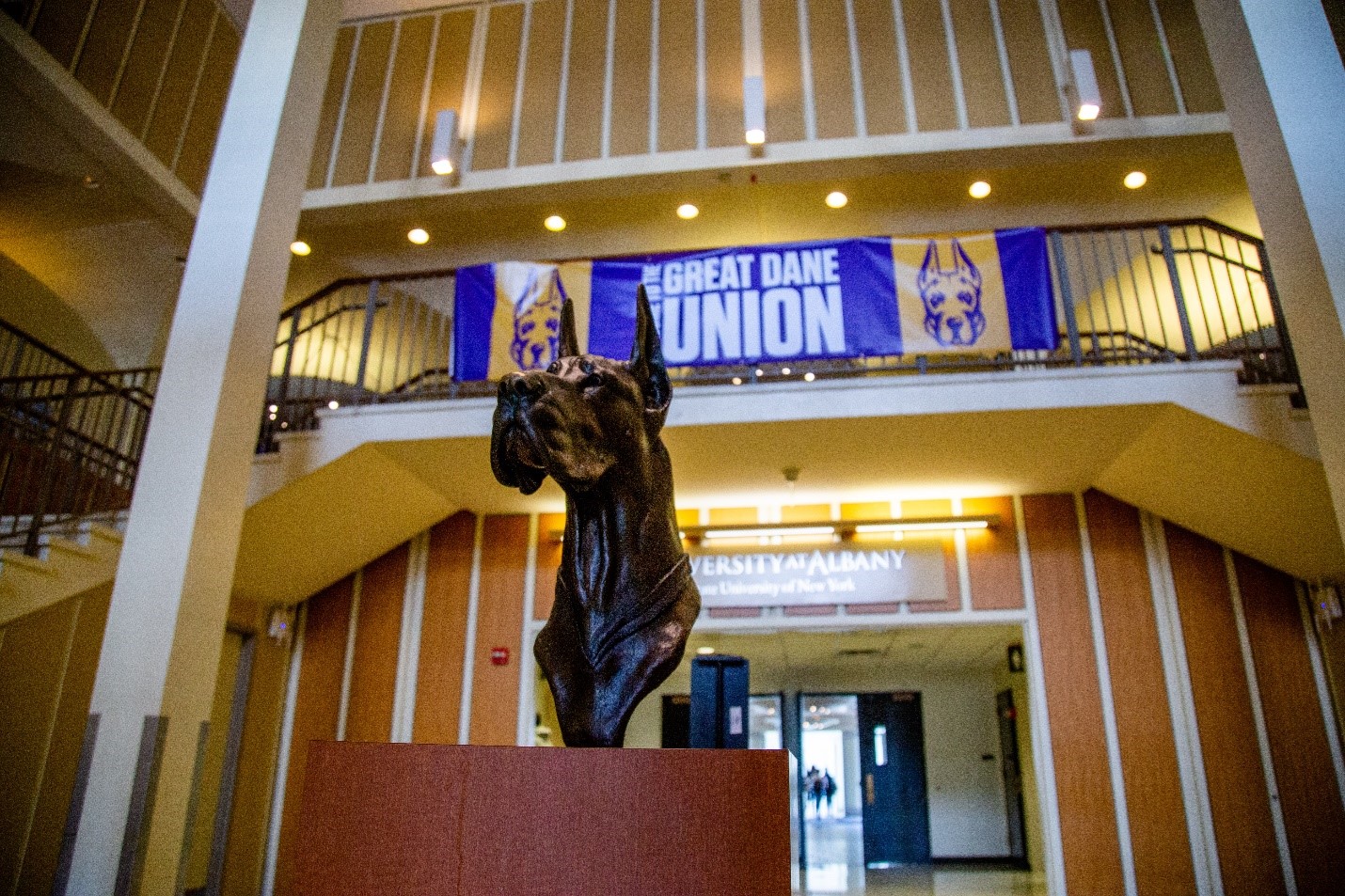 A bronze bust of Damien the Great Dane inside the Campus Center lobby, with a banner for the Great Dane Union in the background.