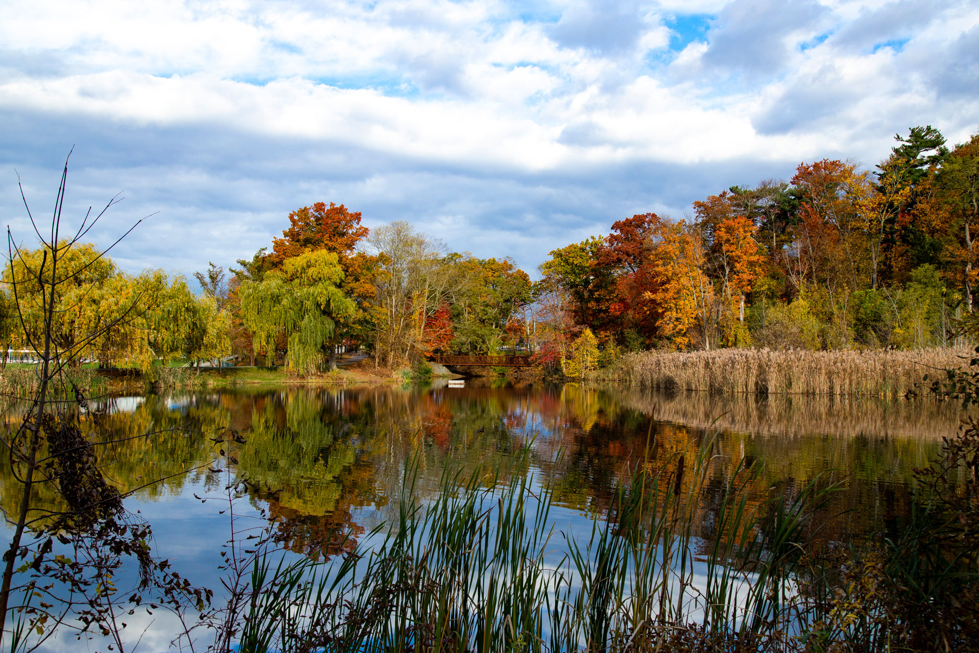 The newly renamed Parker Pond, photographed on a cloudy fall day with colorful trees reflected by the water.