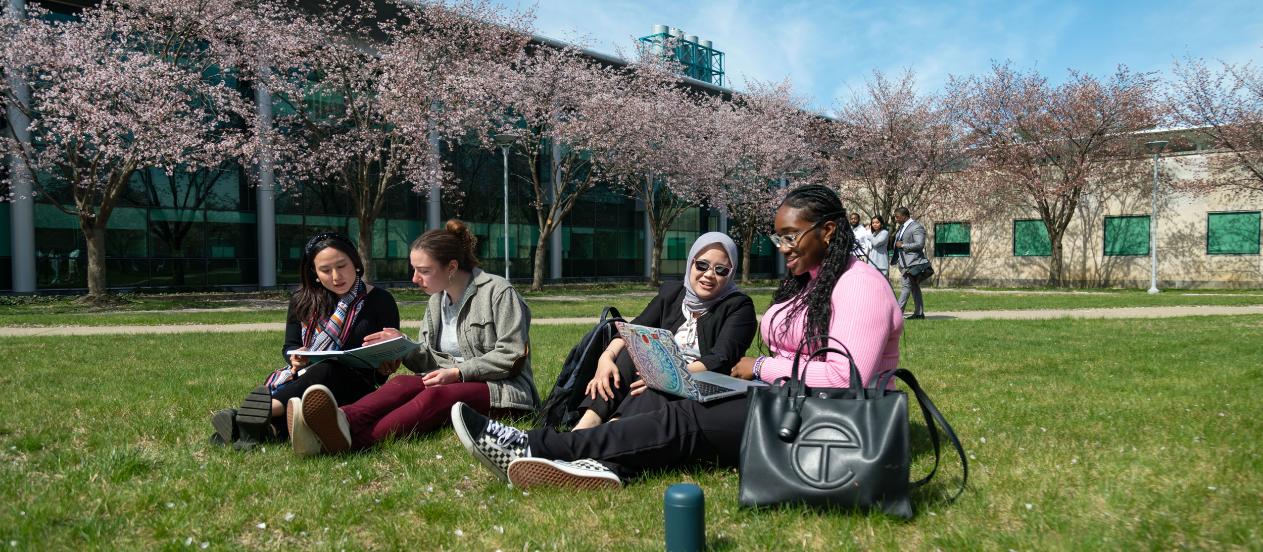 Four UAlbany students smile as they sit in the grass and work on laptops and in notebooks on a sunny day.