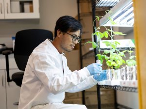 A student in a white lab coat holding a green plant and placing it under a lamp.