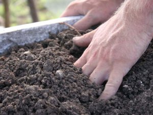One hand braces on a stone ledge while the other hand plunges into brown dirt at an archaelogical site.