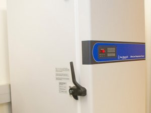 New Brunswick Innova U535 -80 °C freezer