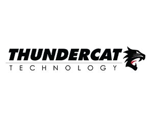 Black text on a white background reads, "Thundercat Technology" with an illustration of a large black wildcat on the right.