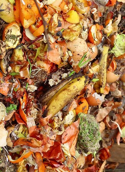Converting Wet Organic Waste into High Value Products