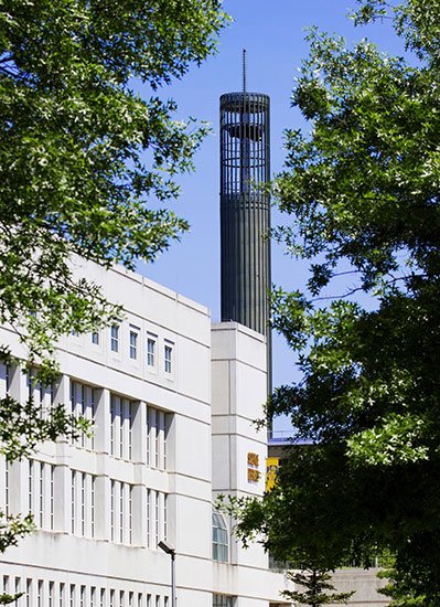 The Carillon, trees and the Science Library.