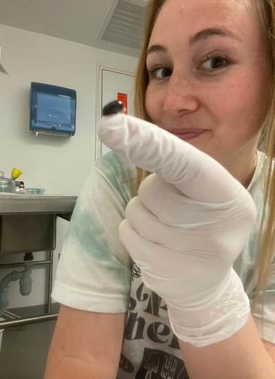 Rachel Lange holds up a specimen in the lab.