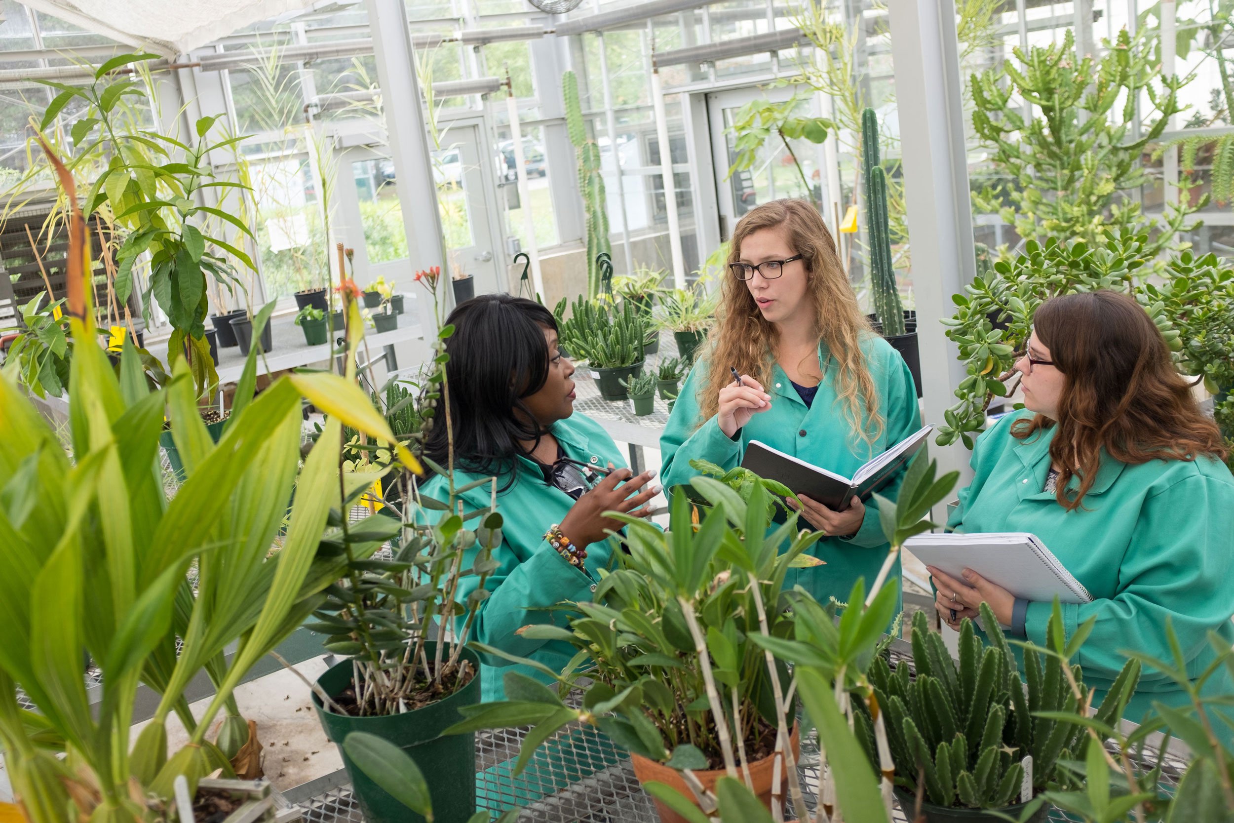 Chemistry Professor Dr. Rabi Musah works with her graduate students inside a greenhouse.