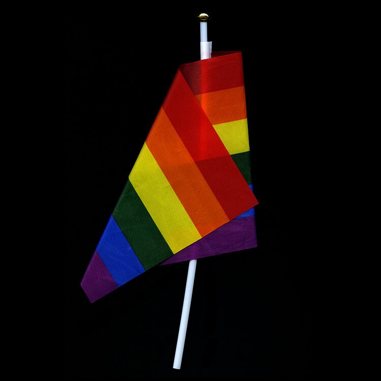 An LGBT flag.