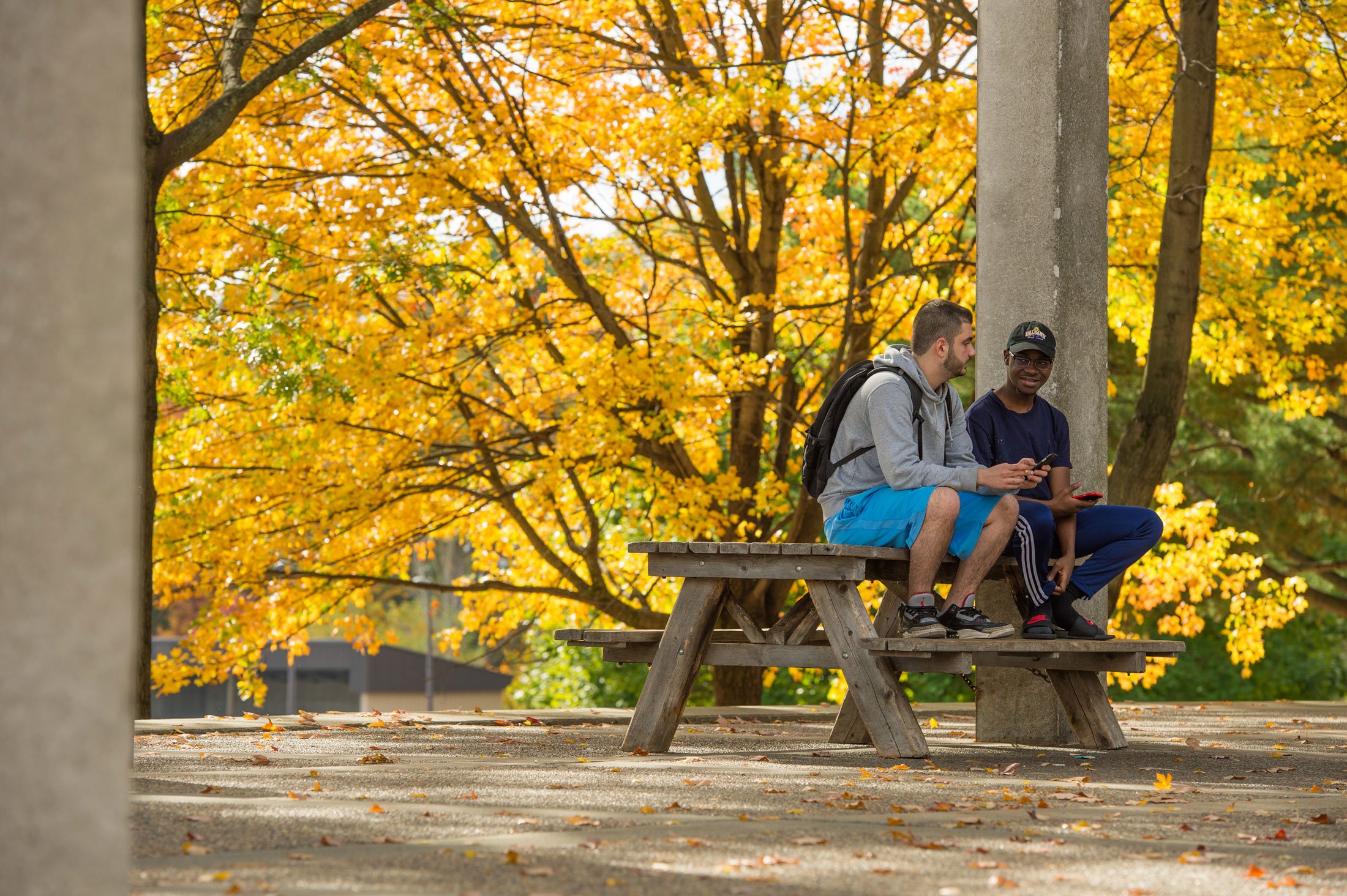 Two students sit at a picnic table outside Indigenous Quad amid fall foliage
