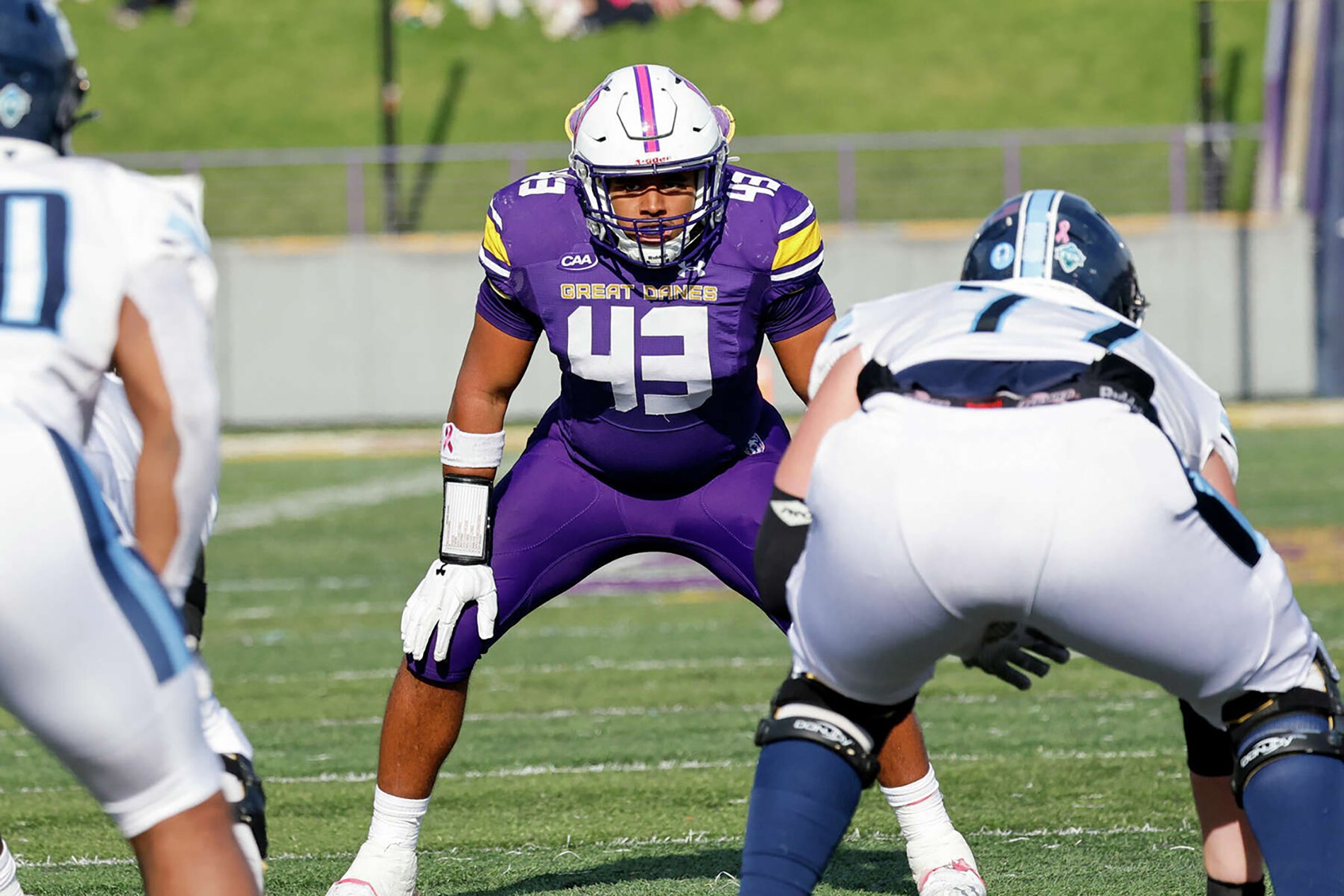 Fall Sports Underway for Great Danes University at Albany