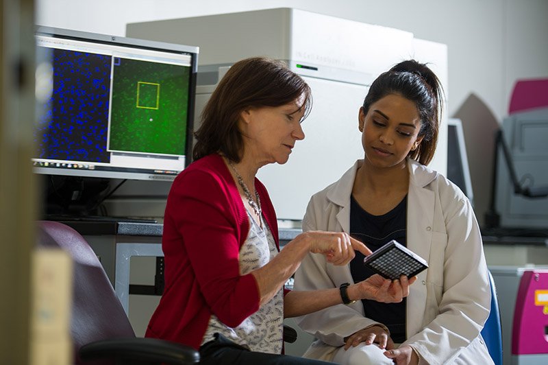 Paragraphs with Sidebar University at Albany