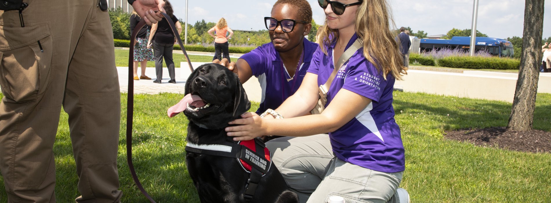 Two Orientation leaders with a service dog in Collins Circle