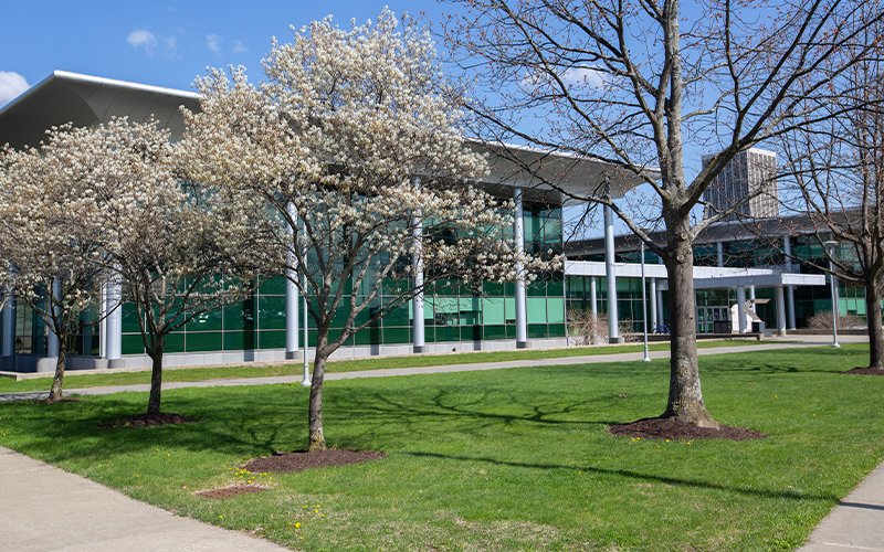 LSRB Spring Updates | University at Albany