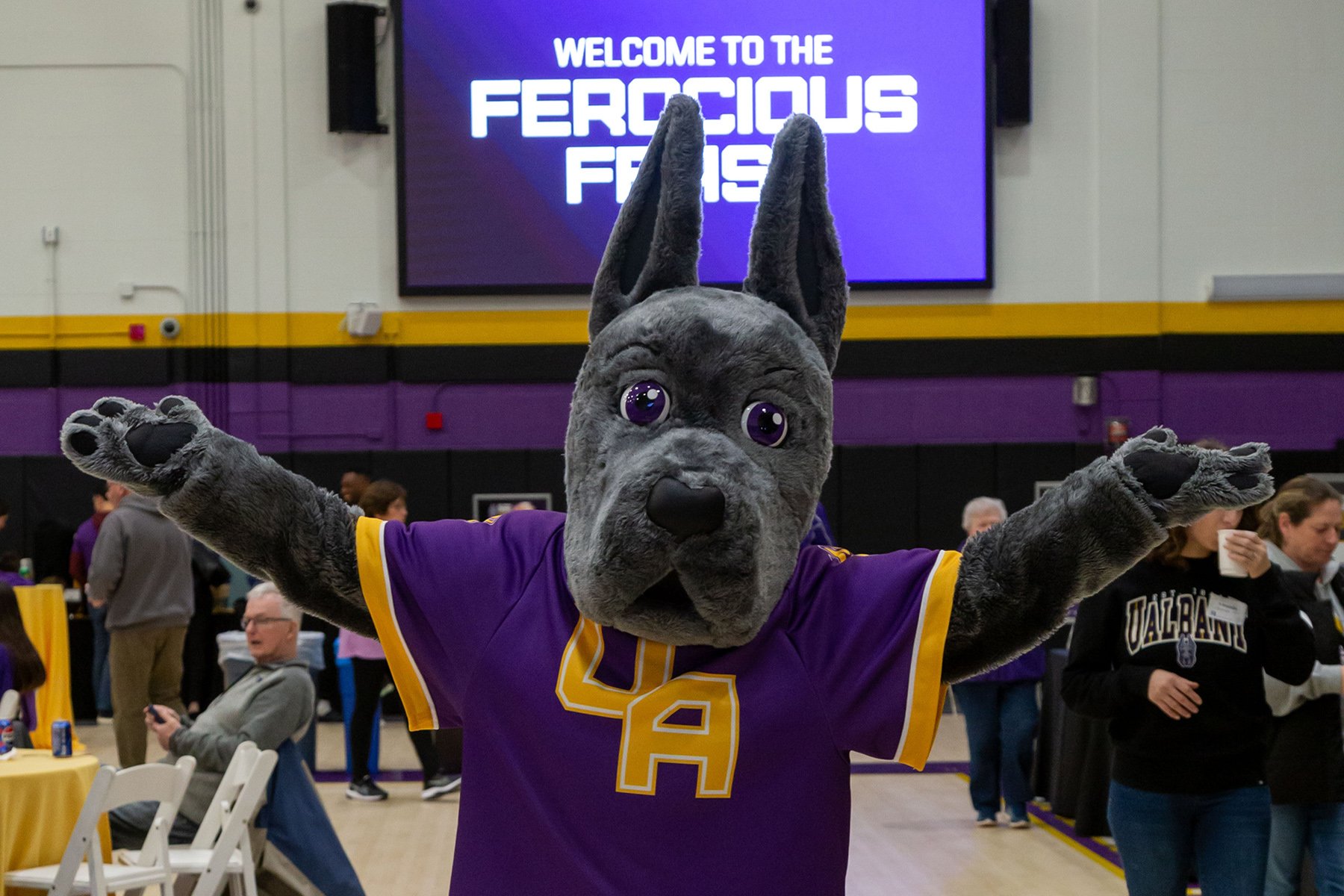 Mascot Damien greats visitors to the 2024 Big Purple Growl and Ferocious Feast at the PE Gym before the basketball game.