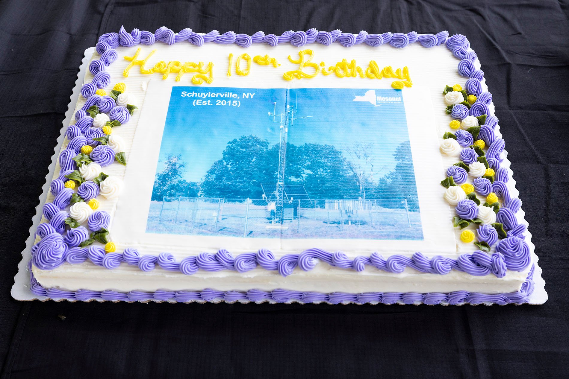 10th birthday cake for the Mesonet's Schuylerville site.