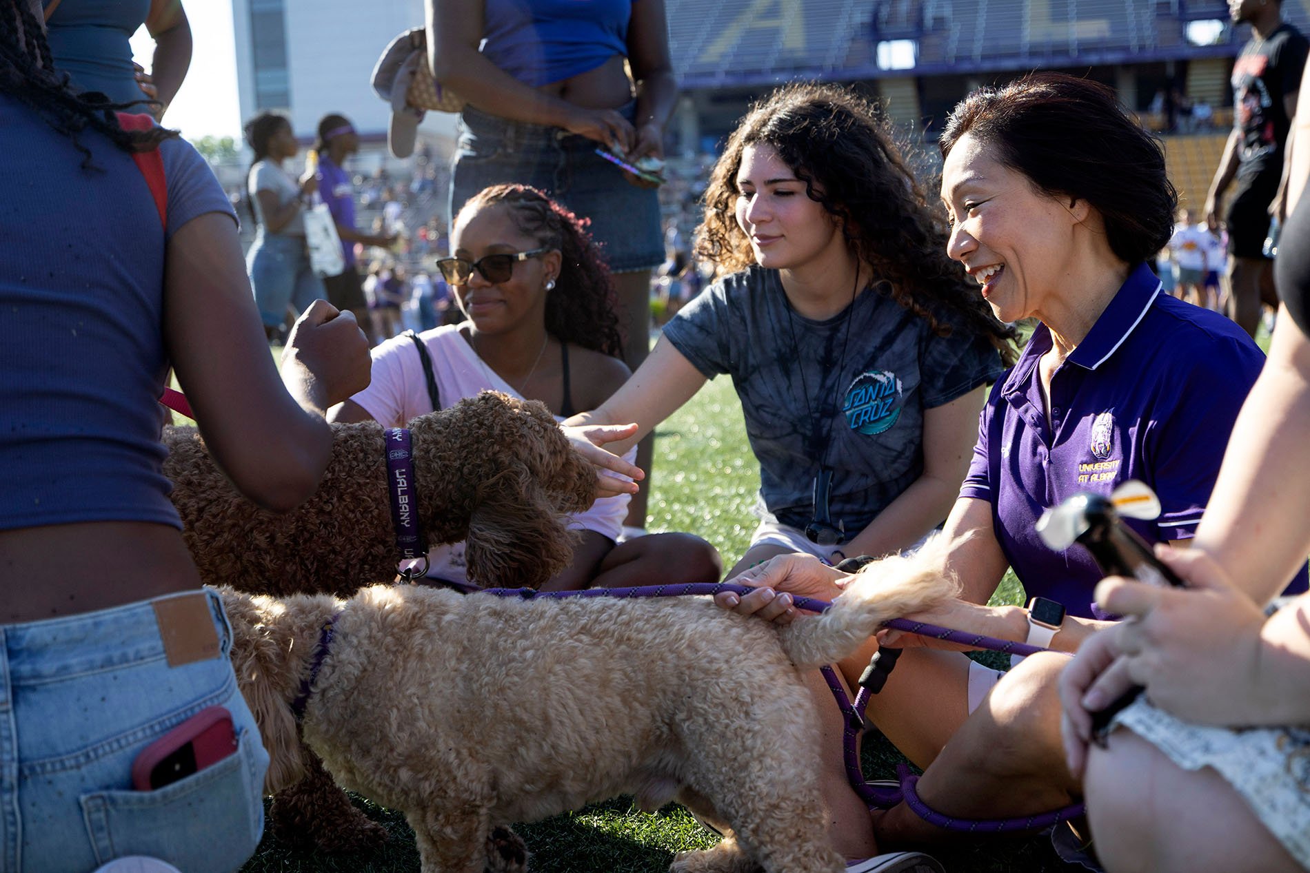 Animal Therapy at Great Danetopia