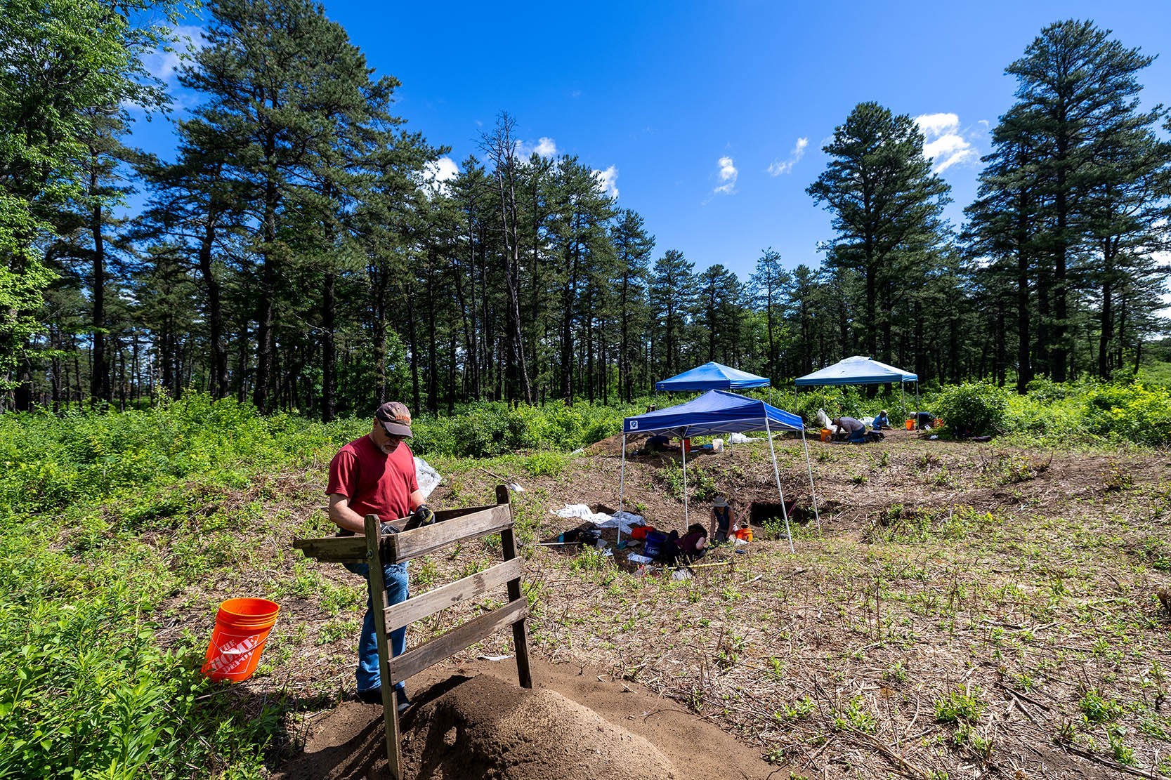 An acheological field school site in Albany's Pine Bush features canopies, buckets and grids as blue skies and pine tries line the background.