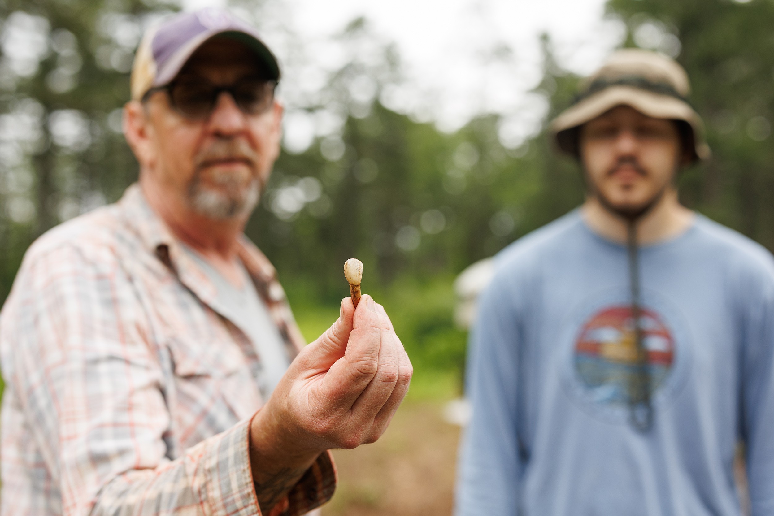 A professor holds up a small sample collected from an archeological field site in Albany's Pine Bush that was once the site of a tavern during colonial times.