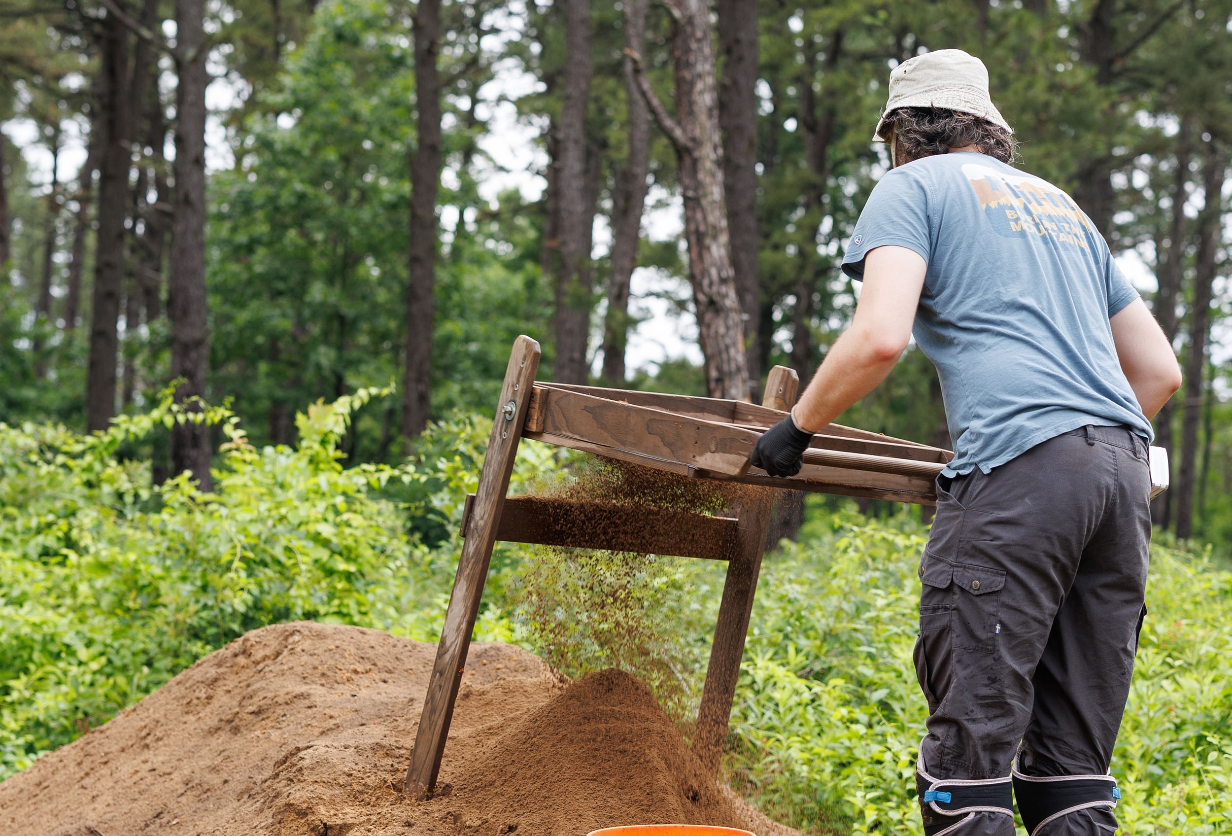 A young man shakes dirt using an archeology field school tool to uncover artifacts from a field site in Albany's Pine Bush.
