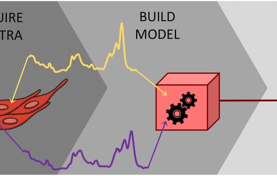 Dey Lednev publication