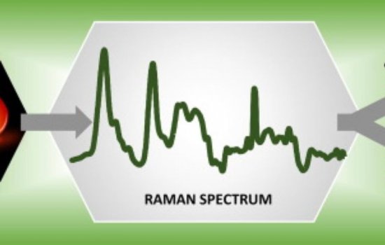 Lednev Raman Spectroscopy