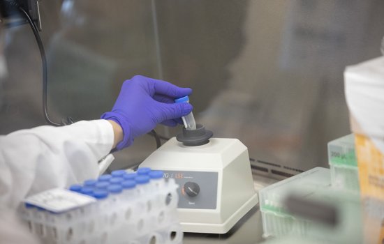 A technician at the RNA Institute analyzes a test tube with saliva in it.