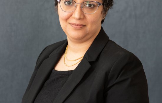 Yalda Nafiseh Hamidi (MA'2014)