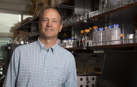 Prof. Andrew Berglund