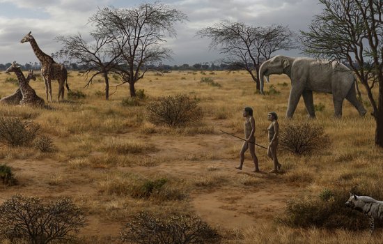 A depiction of Homo erectus, man and woman, walking through an East Africa surrounded by contemporary fauna. 
