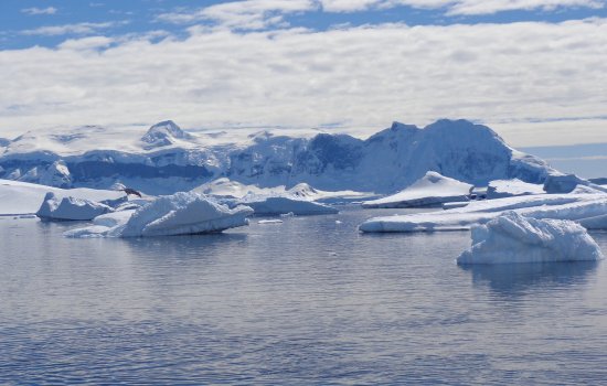 Melting icebergs in the Arctic Ocean.