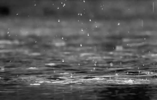 Rain drops into a puddle.