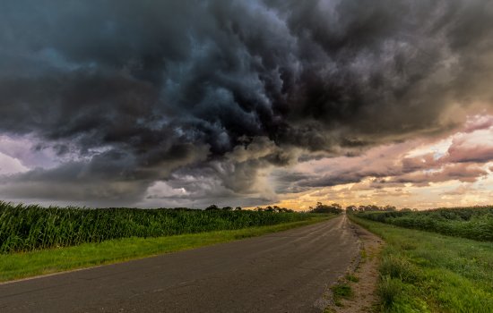 An empty road in between two corn fields, with dark clouds in the sky.