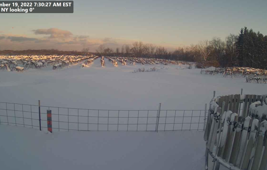 Snow covers the NYS Mesonet site in Brant, N.Y. on Saturday, Nov. 19.