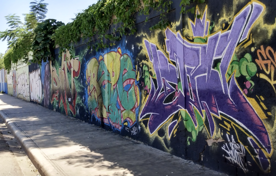 Colorful graffiti marks an outdoor wall draped with trees and overgrown greenery.