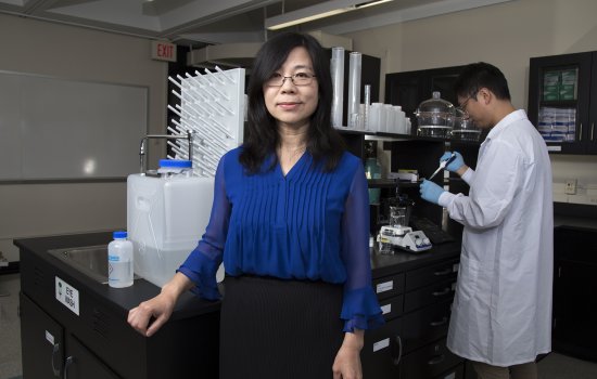 A woman in a blue blouse stands in front of a work station in her laboratory as a man in a white labcoat uses a pipette behind her.