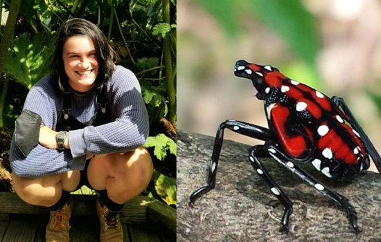 At left, JJ Kathe poses outdoors in black overalls and a blue long-sleeved shirt in front of green plants with the sun shining on her face. At right, a Spotted Lanternfly crawls on a branch.