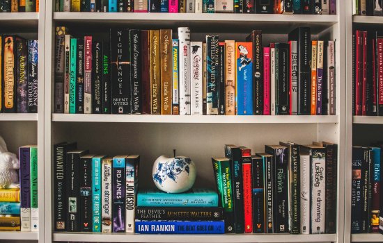 a photo of a bookshelf