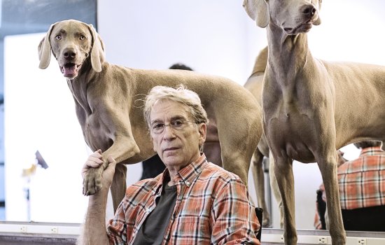 man sits in chair with two dogs standing behind him, he holds the paw of one dog in his hand