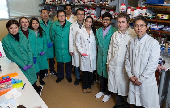 Max Royzen stands second from right with his lab team.