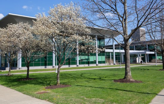 Exterior of the Life Sciences Research Building, covered in green-toned glass panels and surrounded by budding trees and green grass.