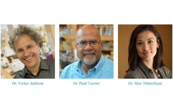 A composite of Victor Ambros, Paul Turner and Nim Tottenham, with their names displayed in light blue text under each photo.