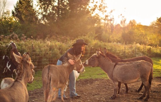 Cassandra Marshall stands in a fenced-in paddock surrounded by four small donkeys and two goats amid golden hour light. Marshall is wearing a dark brown Stetson-style hat, black top and blue jeans. Low brush and forest is blurred in the background.
