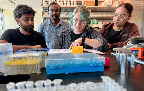  Four people, two men and two women, stand over a lab bench covered in plastic test tubes set in plastic cases. The woman in the middle points to a text as the others read over her shoulders. Shelves with various bottles and lab supplies line the back wall. 