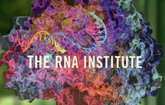 RNA Institute Logo