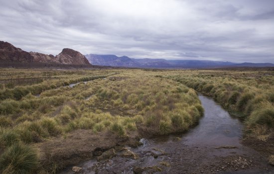 A small body of water overlooks the mountains in Mendoza, Argentina.