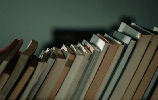 A row of books leans in a shadow on a shelf. 
